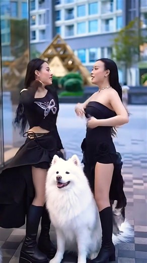 #foryou 🥰🥰#shortvideo #shorts #funny