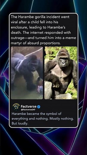 The Harambe gorilla incident went viral after a child fell into his enclosure, leading to Harambe’s