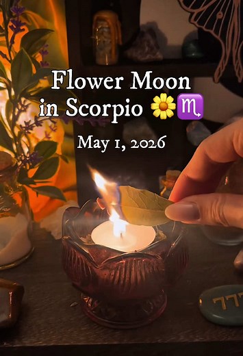 More about the Full Moon 👉 The Full Flower Moon happens on May 1, 2026 at 17:23 UTC 🌕🌼 This moment is incredibly potent because it aligns perfectly with Beltane, which marks the height of spring and the energy of growth and creation. As the earth reaches peak fertility, the Flower Moon acts as a celestial spotlight on the abundance blooming all around us 🦋 In magick, a Full Moon in Scorpio brings deep transformation to a boil 🦂 As the sign of alchemy and rebirth, it opens a powerful manifes