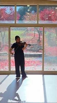 오색단풍과 어우러진 한국국제예술학교 중3 전세연의 바흐 연주💓 #bach #바이올린 #violin #가을 #autumn #한국국제예술학교
