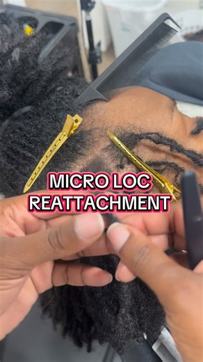 Danielle E. Brown on Instagram: "Micro loc maintenance #microlocs #microlocks #locd #locs #fblifestyle"