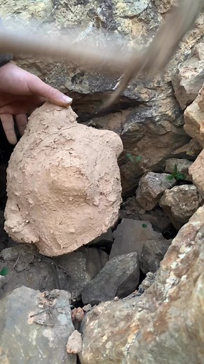 10K views · 32 reactions | treasure #reels #usa #prank #girl #pranks #get #old #gold #hobbydetecting #metaldetectinguk #treasurehunt #oldcoins #detector | Roman treasures | Facebook