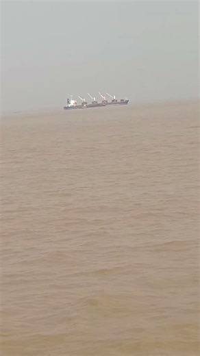 17 February 2026 #viral #ship