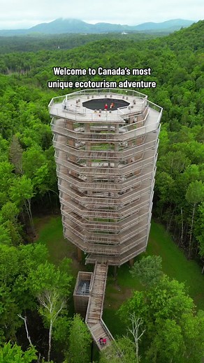 Experience Canada's Treetop Walk at Sentier Des Cimes