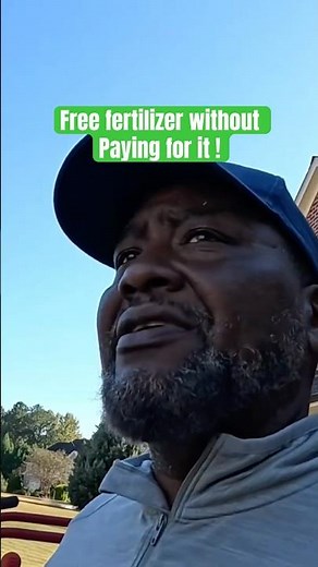 Mulch don't Bag leaves in the Fall and here's why. #mulching