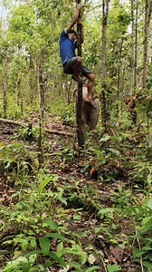 Bella families and elephant keeper | Elephant Jungle Paradise Park