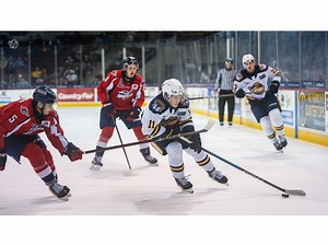 Spitfires losing no sleep after first loss in regulation this season