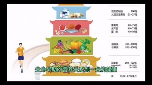 《国民营养计划（2017—2030）》提出——生命最初1000天