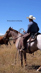 14K views · 44K reactions | September at the ranch means crisp...