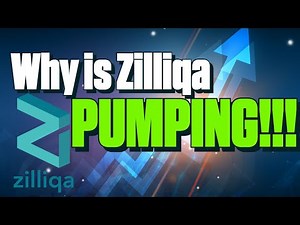 Why is Zilliqa Pumping