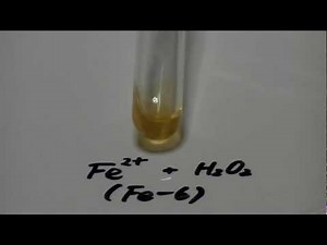 Fe6硫酸鉄(Ⅱ）の水溶液と過酸化水素水の反応Fe2+ ＋ H2O2.MTS