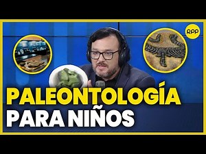 Actividades para acercar a los niños al mundo de la paleontología