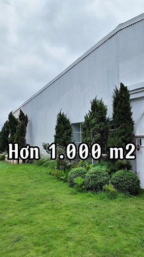 TIARA Studio trên TikTok