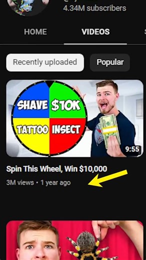 Did You Know MrBeast Has a Brother? #mrbeast #mrbeastbrother #mrbro | Graham Stephan