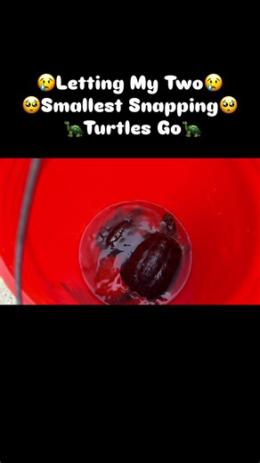 PIRANHA HEAD👑 (@piranhahead)’s videos with original sound - PIRANHA HEAD👑