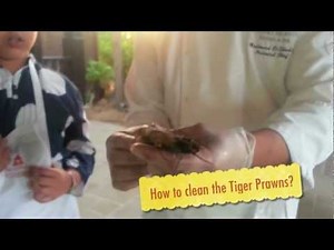 Cooking class by the beach, Desert Islands Resorts.m4v