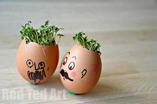Spring Activities: Cress Heads - Red Ted Art - Kids Crafts