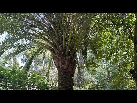 Day 67 - Garden Tomb #travel #family #fun #adventure #follow