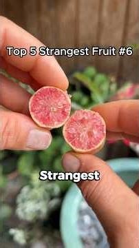 Top 5 Strangest Fruit #6