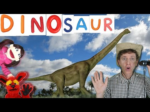 First Words #4 DINOSAUR | Learn 7 Dinosaur Names | Songs For Kids Matt VS Dino