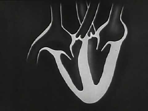 How Your Heart REALLY Works (1937 Film That Explains Everything)