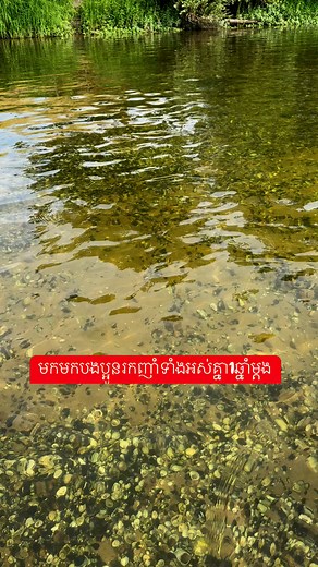 10K reactions · 1.1K shares | ដល់ខែលៀសហើយ #reelsviralシ #reelsfbシ #reelsfb #parisjetaime #paris #កូនខ្មែររស់នៅប្រទេសបារាំង | Mean Thavy | Facebook