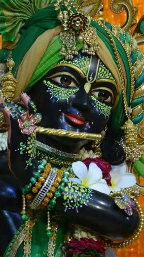 #mujhko bharosha in par hai #shortvideo #youtubeshorts #