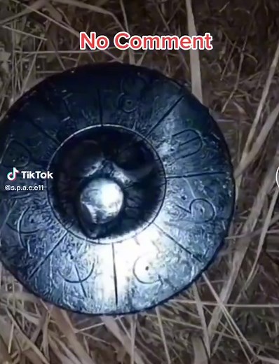 140K views · 1.9K reactions | Well scientist have found that octopus do not have any DNA that matches on earth No DNA matches them At all | Mystery Aliens UFO | Facebook