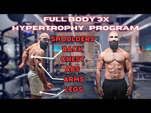 HOW TO: 3 Day Full Body Hypertrophy Program Template: Big Boi Basics #17