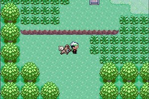 Pokemon Emerald Multiplayer got updated recently, more info in Comments (Made by TenmaRH)