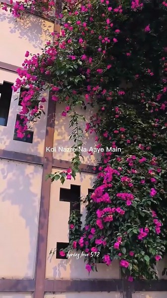I see no one but you, you are my whole world.. | #PalPalDilKePaas#AestheticLofi...#Arijit Singh