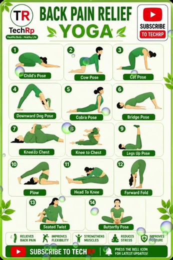 🧘 14 Best Yoga Poses for Back Pain Relief | Stretch & Heal Naturally!#shorts#yoga#fitness#viralvideo