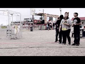 Chip Taylor Little Prayers