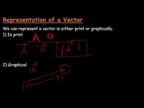 Scalar and Vector Quantities