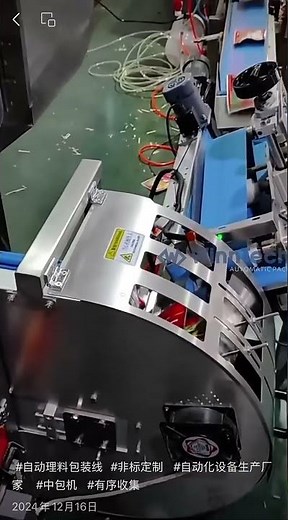 Vacuum Sachets Multipack Bagging Automation #automaticpackaging #automation #foodpackaging