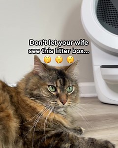 274K views · 1.3K reactions | Over 25 years of innovation and trusted by over 1 million cat parents—meet the gold standard of self-cleaning litter boxes. | Litter-Robot by Whisker | Facebook