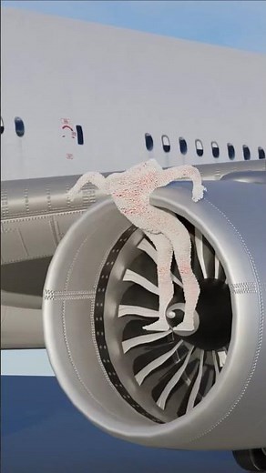 What Happens When You're Sucked Into a Jet Engine!