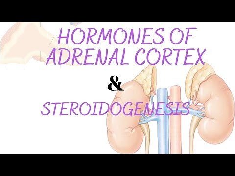Hormones of adrenal cortex| steroidogenesis & congenital adrenal hyperplasia full animation