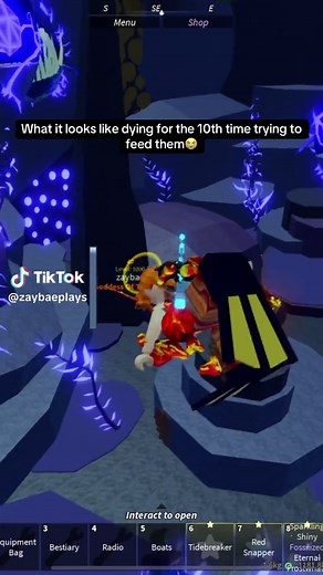 Complete Guide to Feeding Fish in Roblox