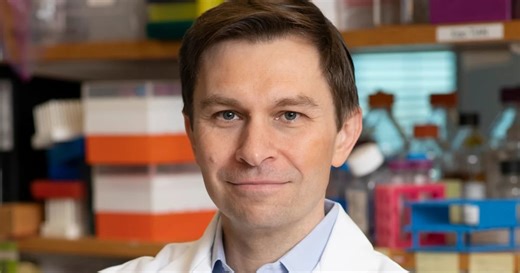 Estos son los alimentos que come cada día el experto en longevidad de Harvard David Sinclair para vivir más años