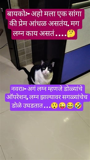 नवरा बायकोची सुपरहिट कॉमेडी😜 #very #funny #cutecat #kau #trending #ytshorts #viral ##animallovers