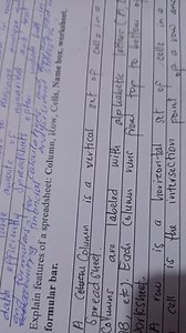 Explain features of a spreadsheet: Column, Row, Cells, Name box... | Filo