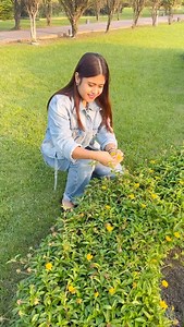 35K views · 4.1K reactions | Making DIY Flower Bracelet✨ | Chandrani Debnath | Facebook