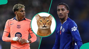 Mysterious cat which predicted CWC final, chooses winner of Chelsea vs Barcelona