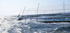 INCREASED ASC IMPACT ON PLANET AND PEOPLE