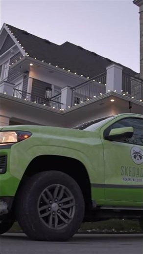 How Mice Get In Through Utility Lines | Greenfield, WI Mouse Inspection