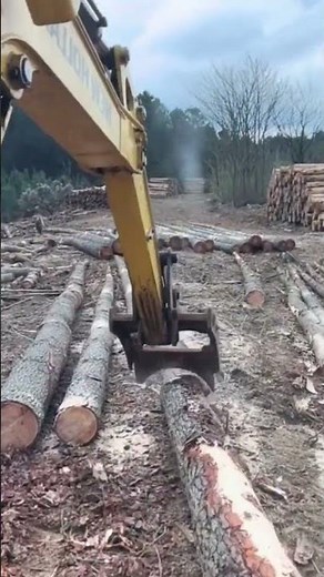 Excavator Removing Trees – Heavy Duty Land Clearing Process