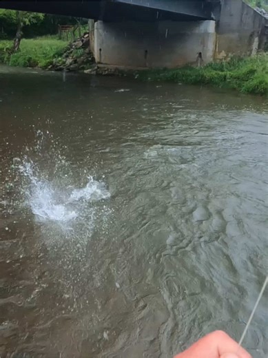 sw_virginia_outdoorsman on TikTok