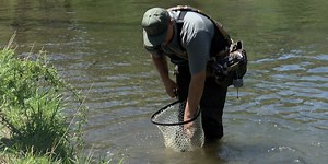 Greenbrier Resort to hold inaugural Wild and Wonderful Hunting, Fishing and Conservation Expo in the fall