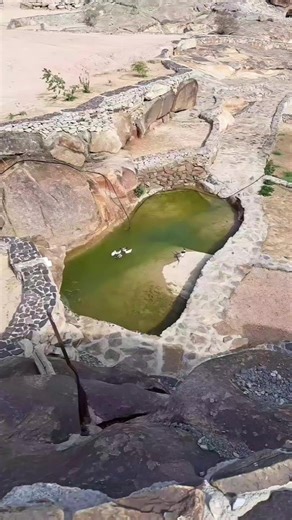 فيديوهات أنشأها قنتب (@aaed_711) باستخدام الصوت الأصلي - قنتب